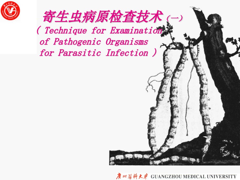 寄生虫病原检查技术