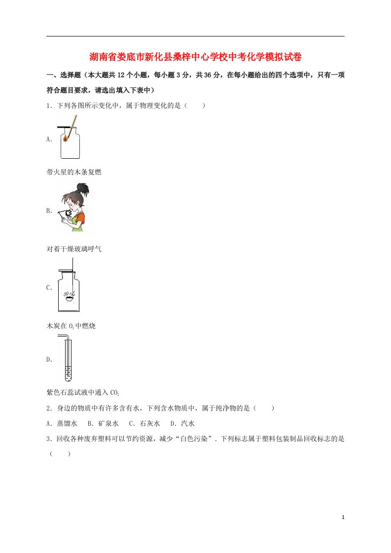 湖南省娄底市新化县桑梓中心学校中考化学模拟试题（含解析）