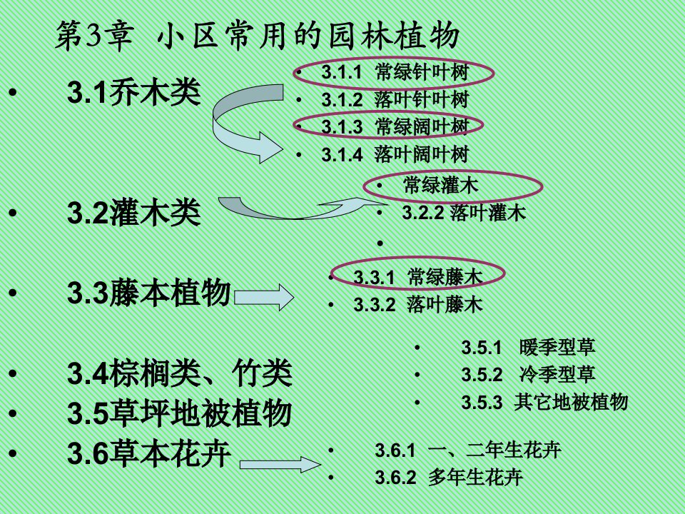 小区常用园林植物