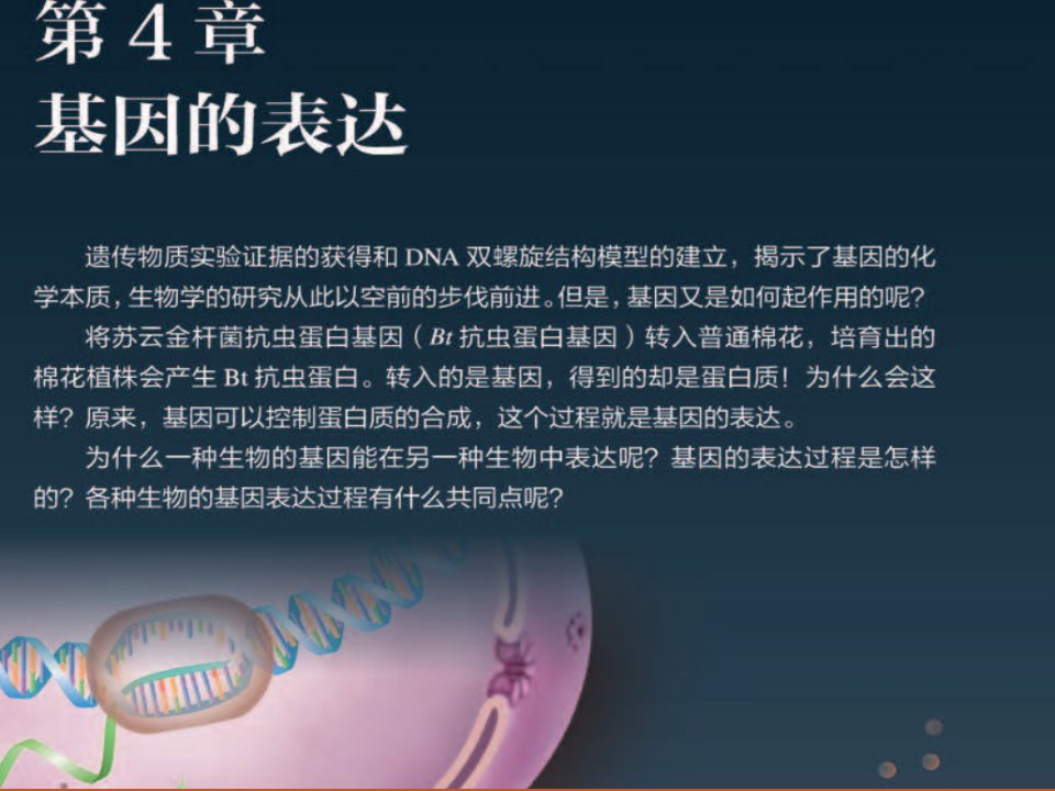 新教材生物《基因指导蛋白质的合成》精美ppt课件