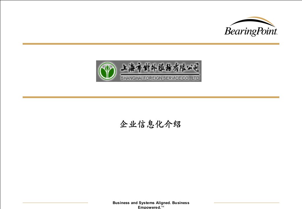 《企业信息化介绍》PPT课件