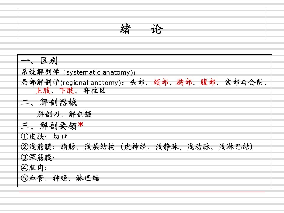 局部解剖学-下肢