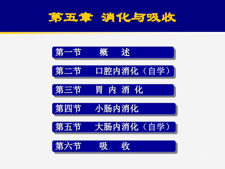 生理学第六章小肠内消化和吸收