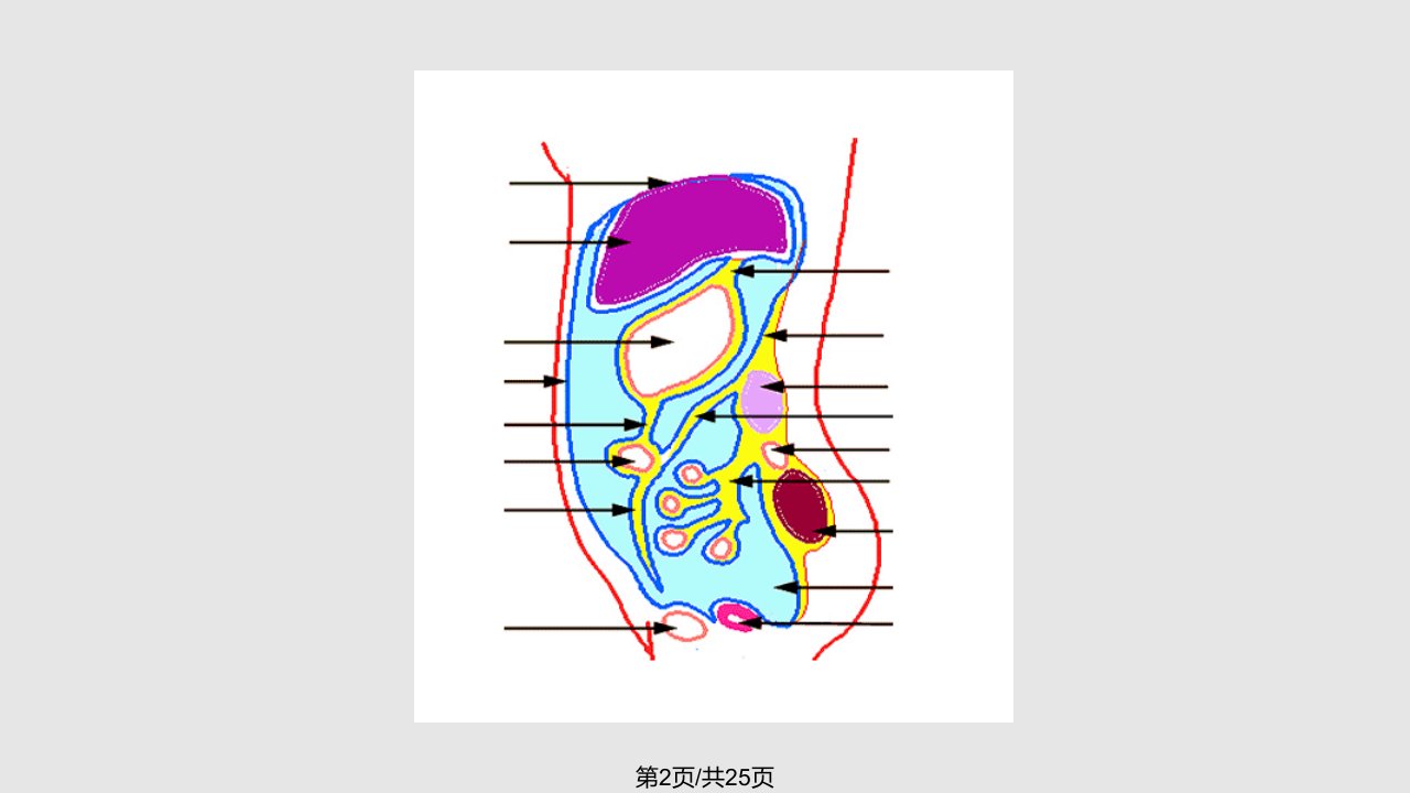 十八章急化脓腹膜炎病人的护理