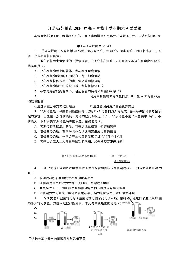 江苏省苏州市2020届高三生物上学期期末考试试题