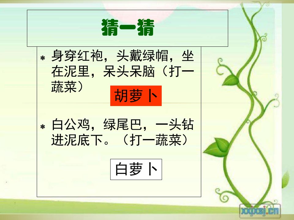 萝卜教学ppt