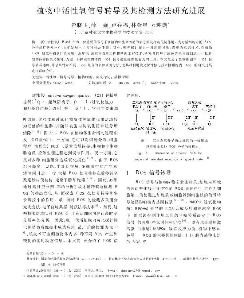 植物中活性氧信号转导及其检测方法研究进展