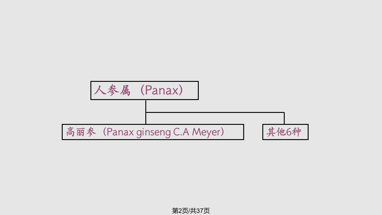 高丽参培训资料