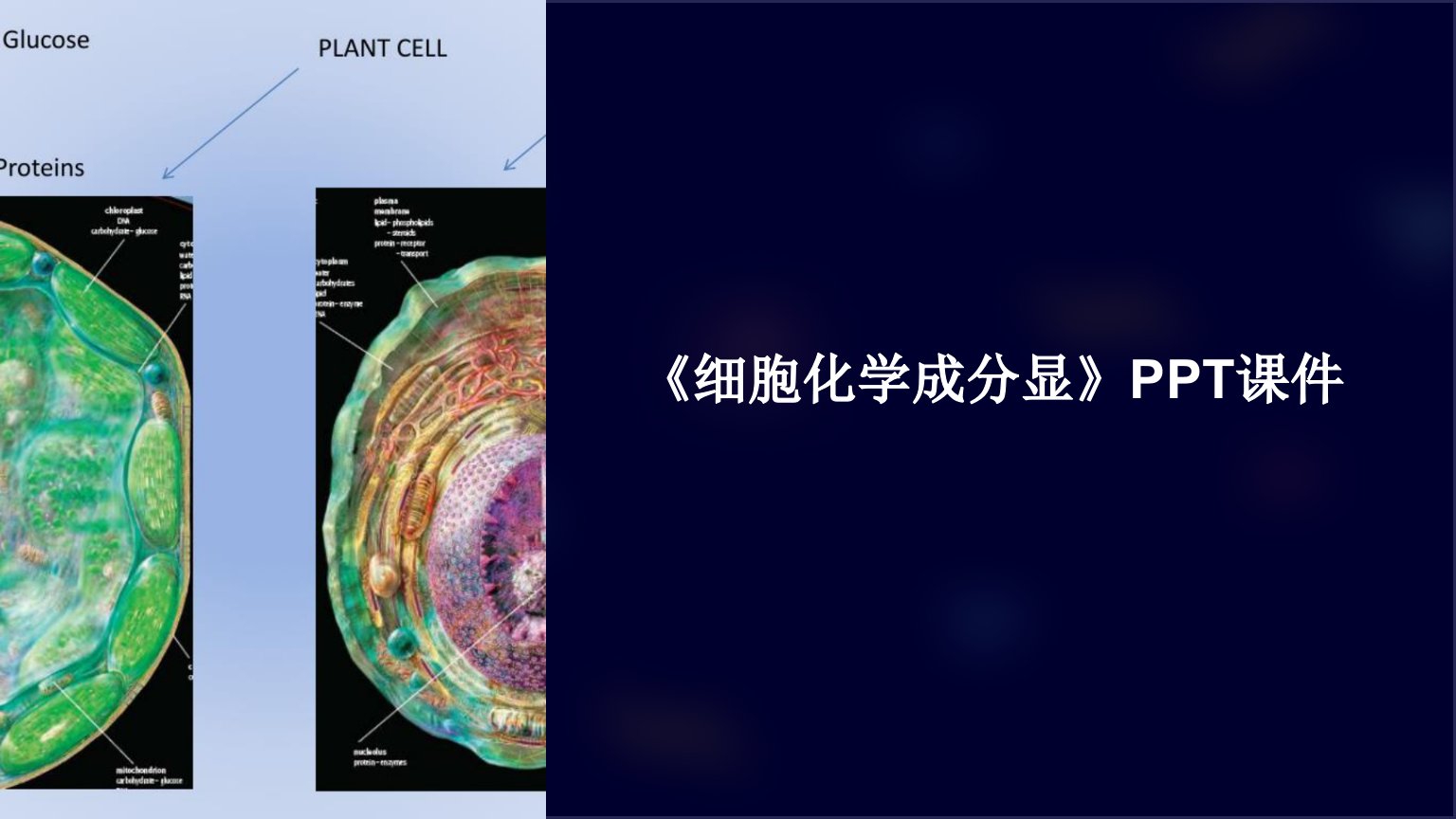 《细胞化学成分显》课件