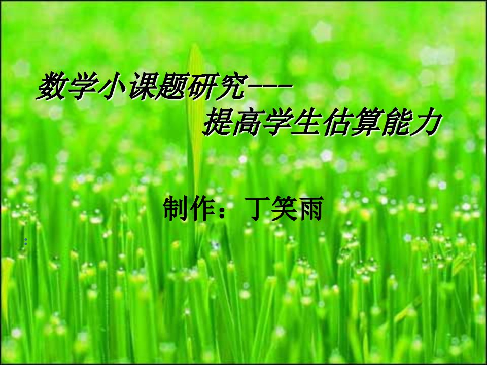 数学小课题研究-提高学生估算能力