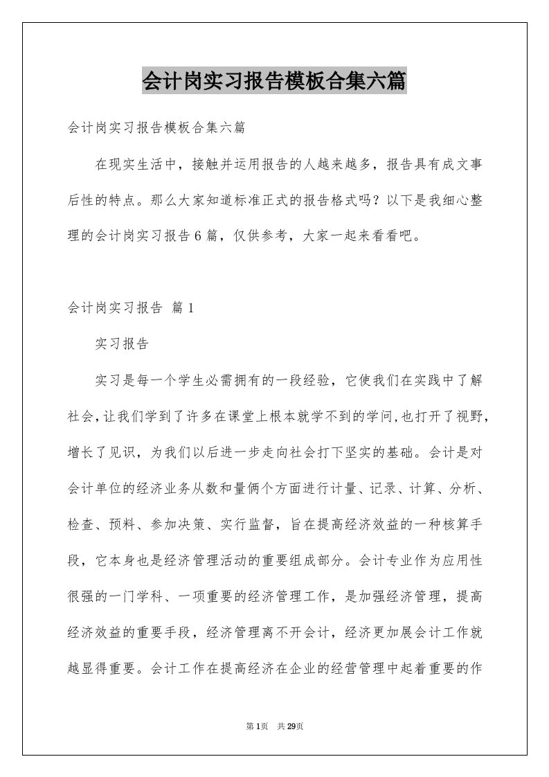 会计岗实习报告模板合集六篇