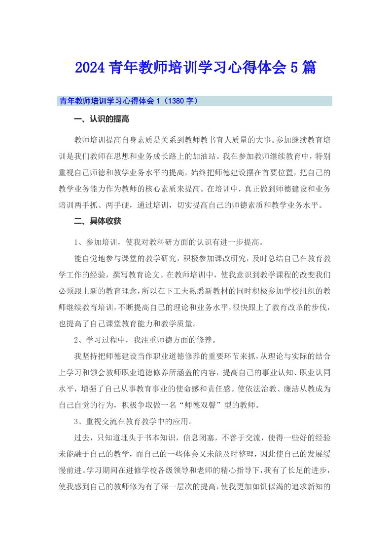 2024青年教师培训学习心得体会5篇