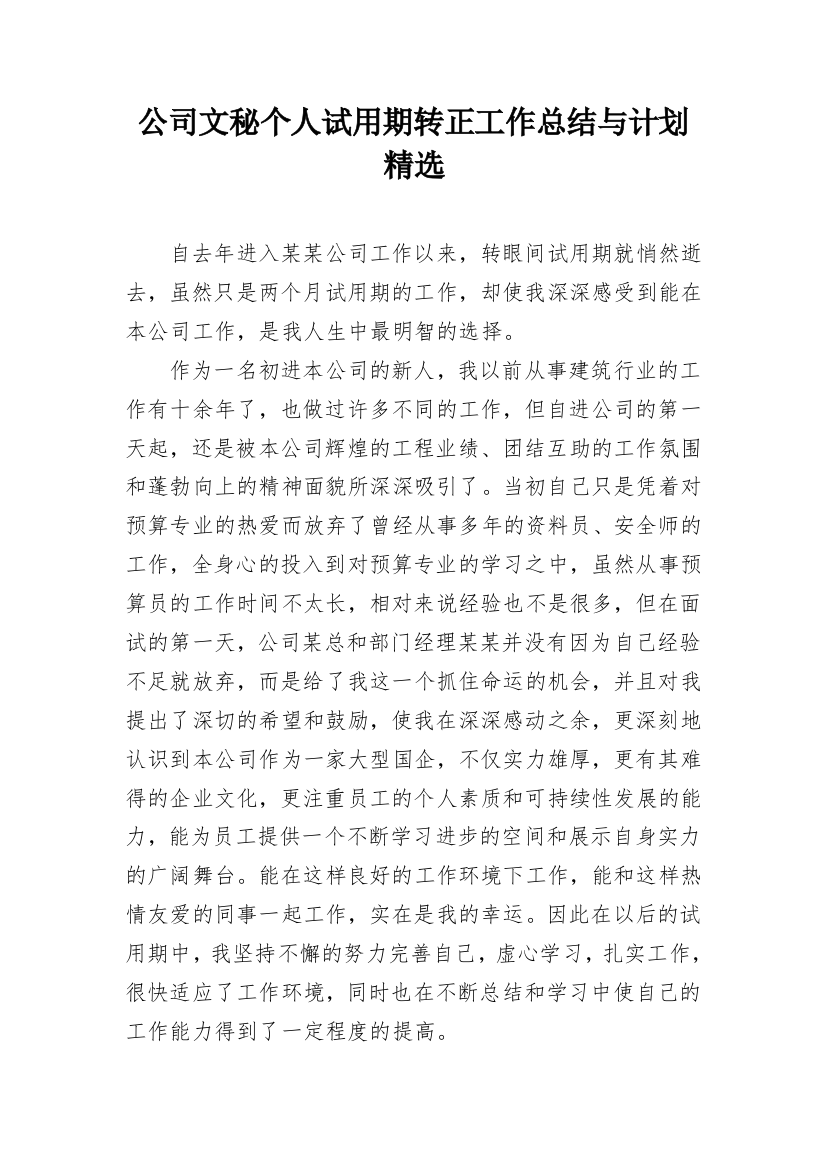 公司文秘个人试用期转正工作总结与计划精选