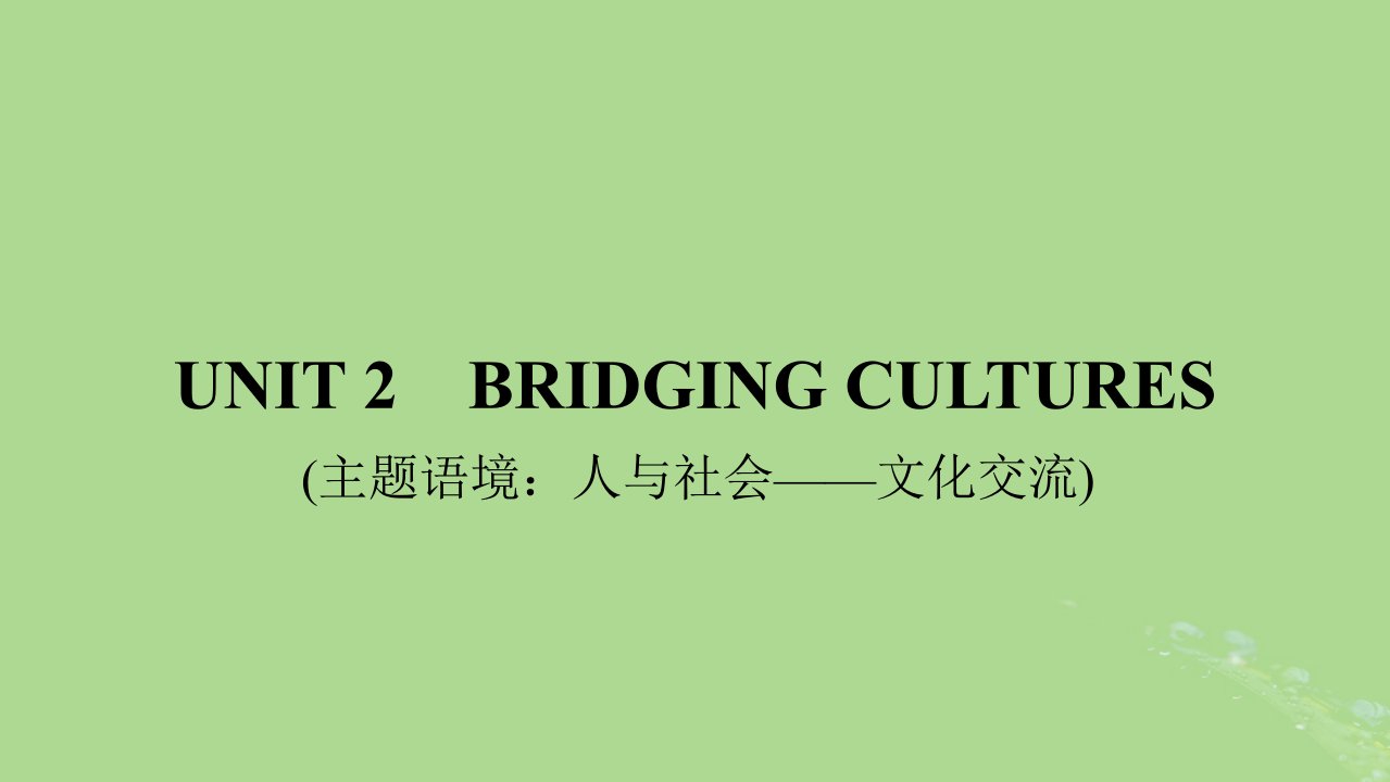 2025版高考英语一轮总复习选择性必修第二册Unit2BridgingCultures课件