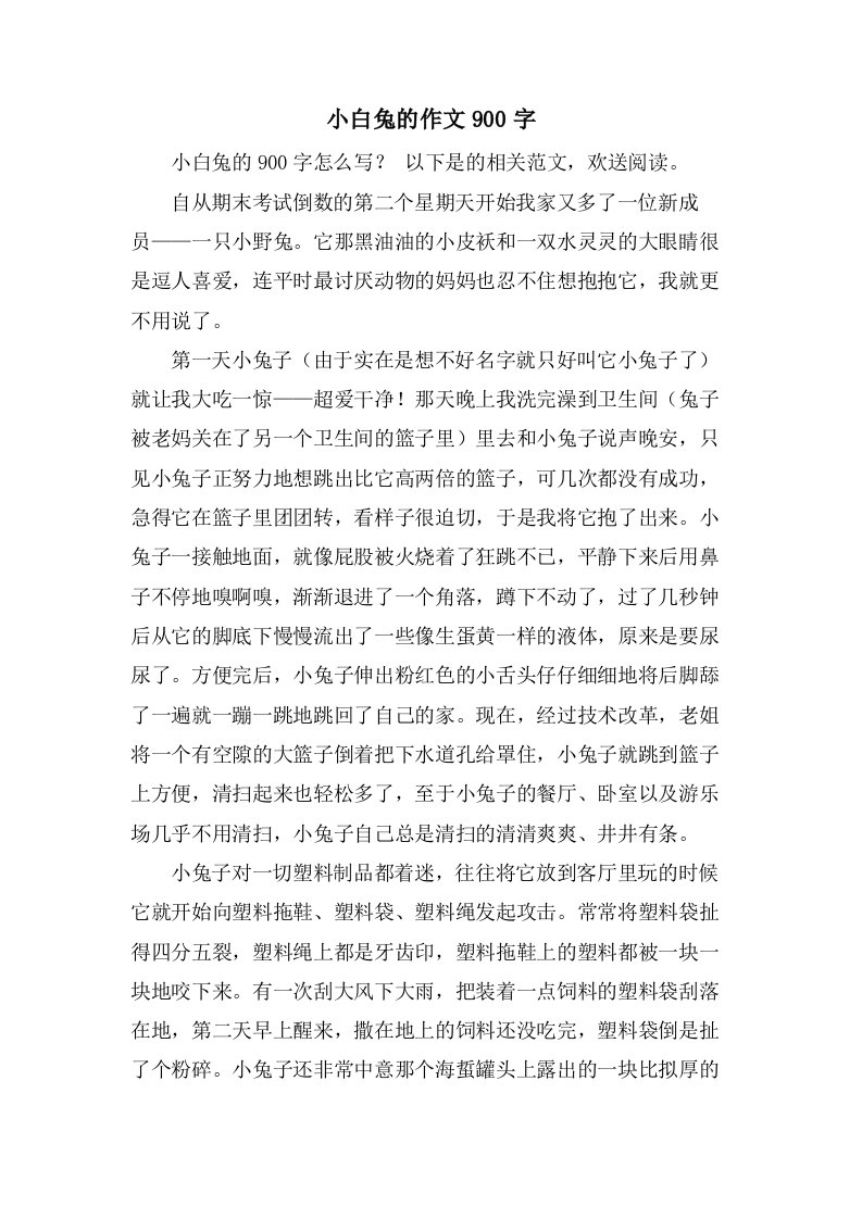 小白兔的作文900字