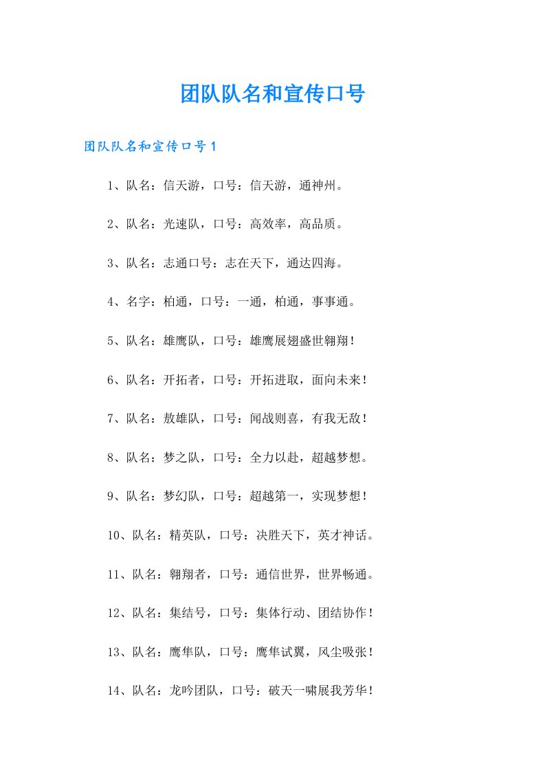 团队队名和宣传口号