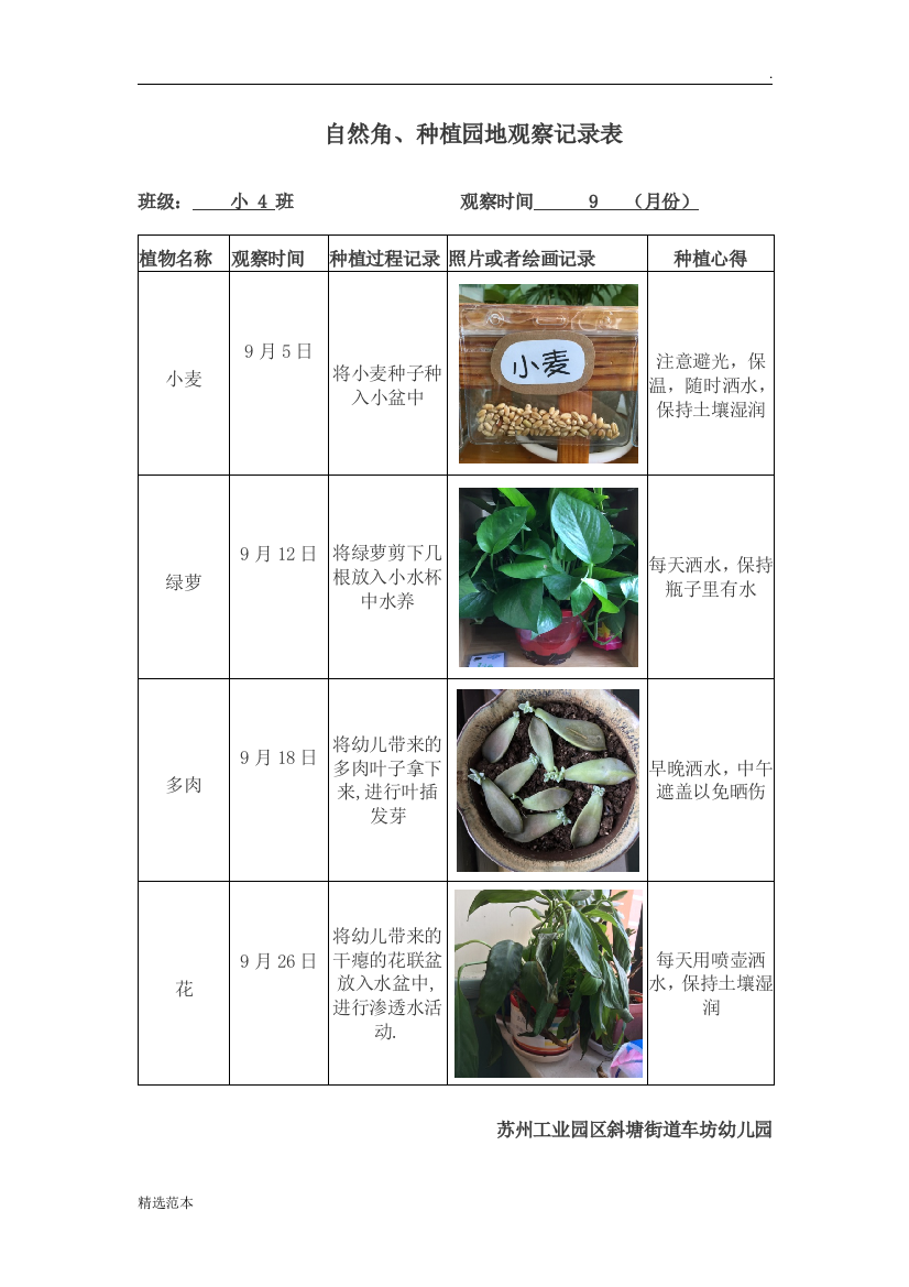 种植园地观察记录表