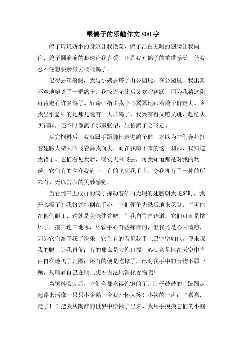 喂鸽子的乐趣作文800字