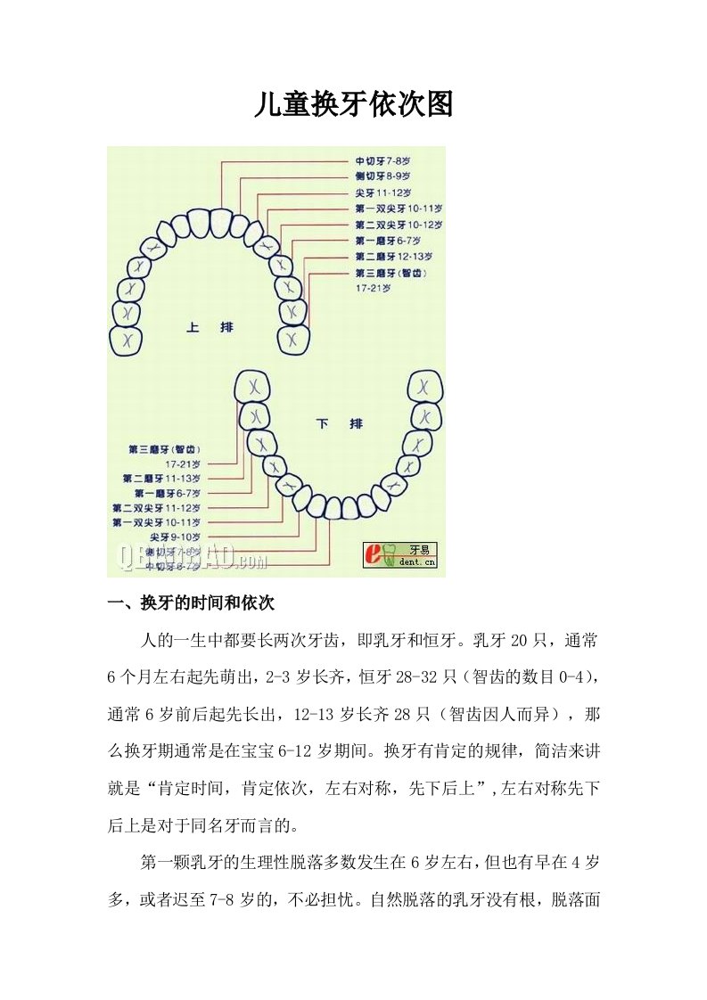 儿童换牙顺序图