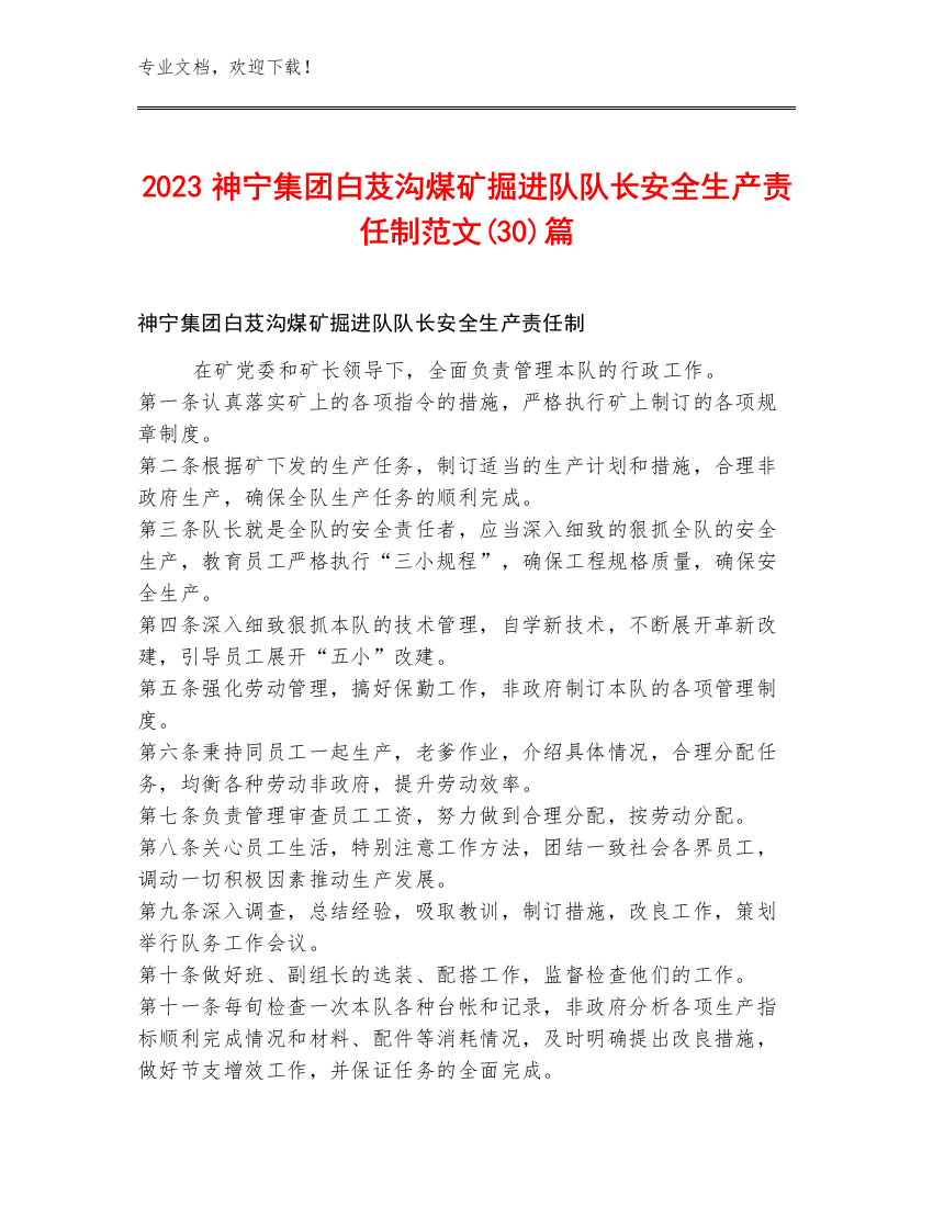 2023神宁集团白芨沟煤矿掘进队队长安全生产责任制范文(30)篇