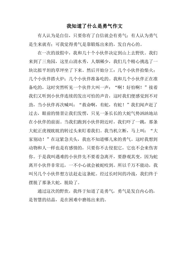 我知道了什么是勇气作文