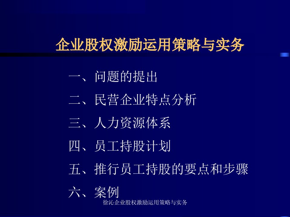 徐沁企业股权激励运用策略与实务课件