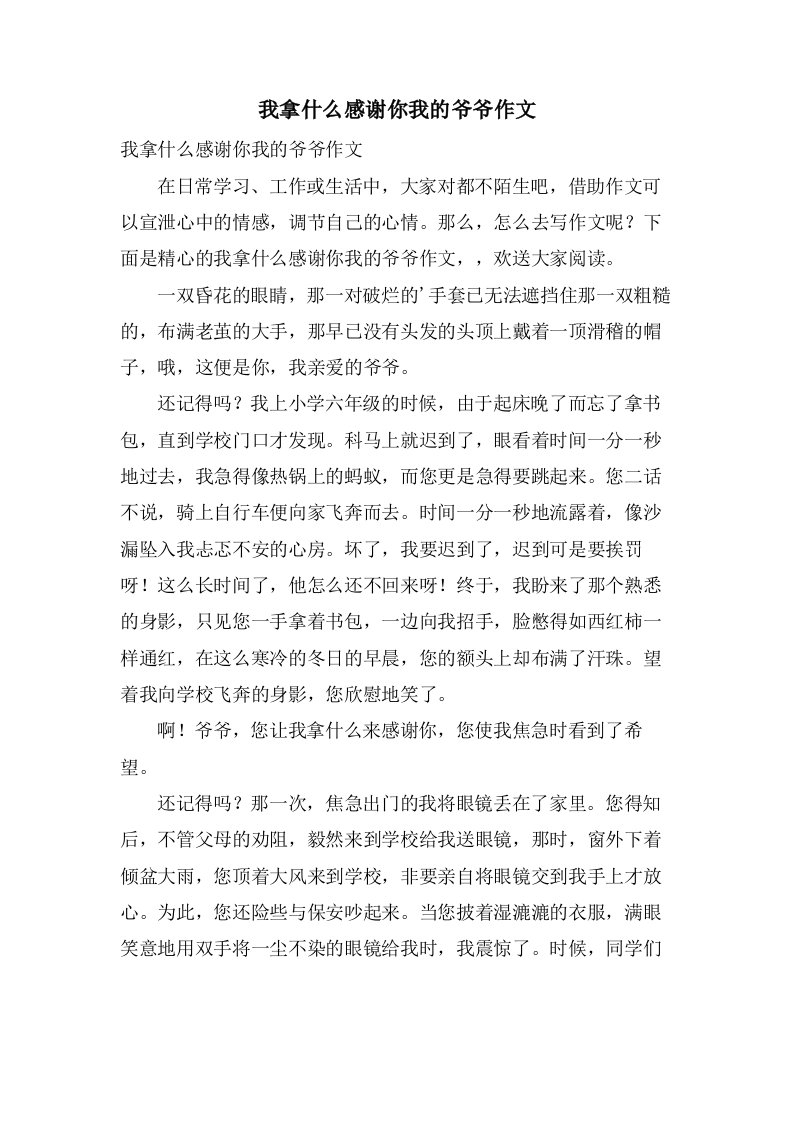 我拿什么感谢你我的爷爷作文