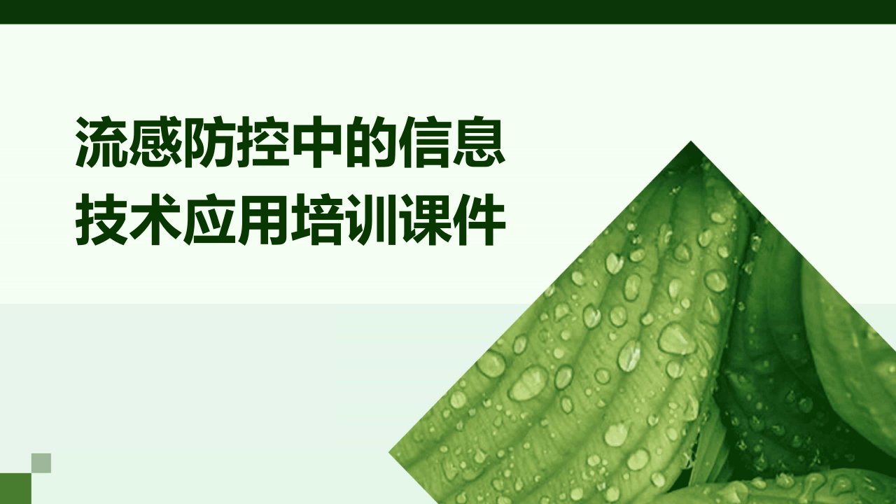 流感防控中的信息技术应用培训课件