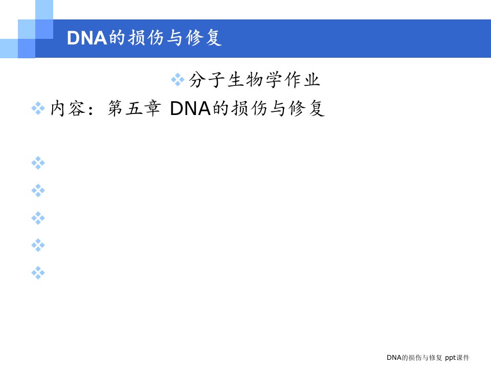 DNA的损伤与修复