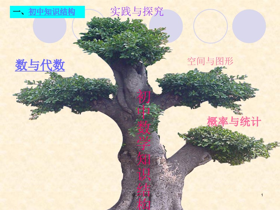 初中数学思维导图（可修改）