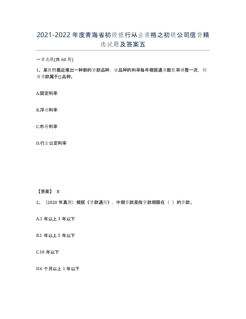 2021-2022年度青海省初级银行从业资格之初级公司信贷试题及答案五