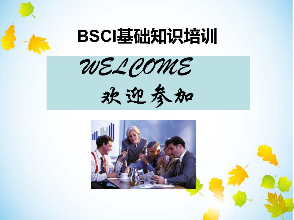 BSCI基础培训教材课件