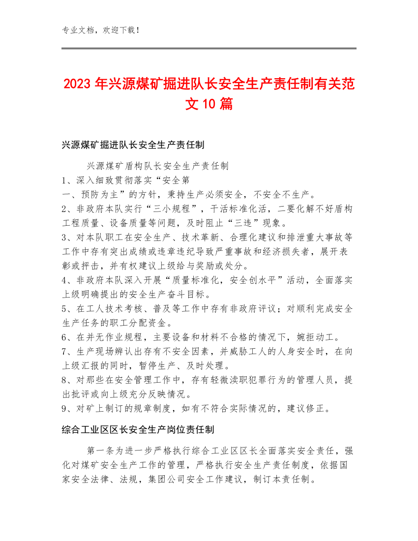 2023年兴源煤矿掘进队长安全生产责任制范文10篇