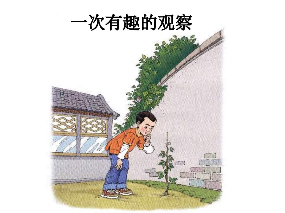 人教版小学二年级语文一次有趣的观察