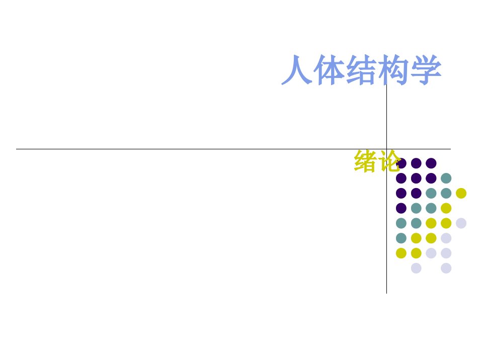 1人体结构学