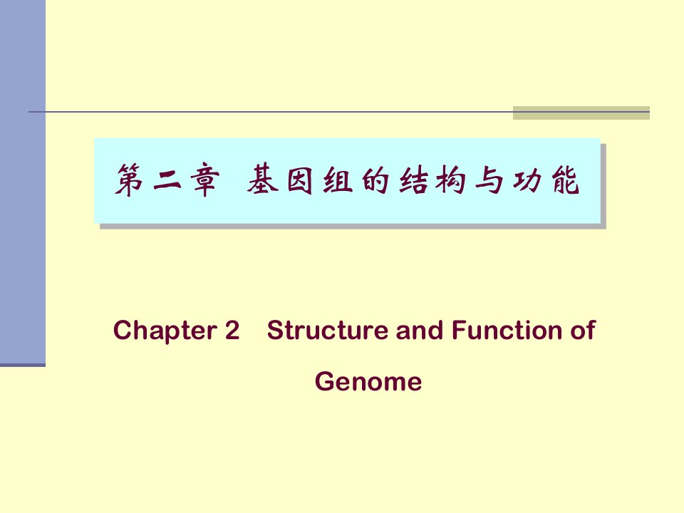 基因组的结构和功能