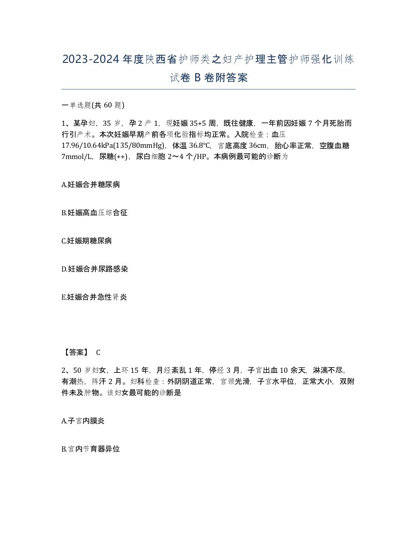 2023-2024年度陕西省护师类之妇产护理主管护师强化训练试卷B卷附答案