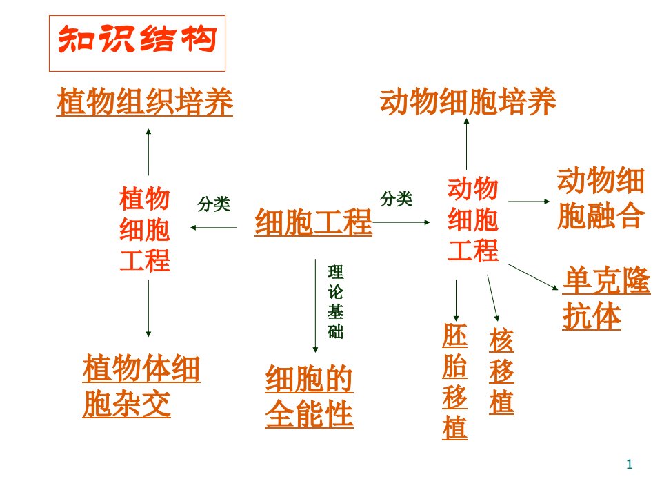 《细胞工程复习课》ppt课件