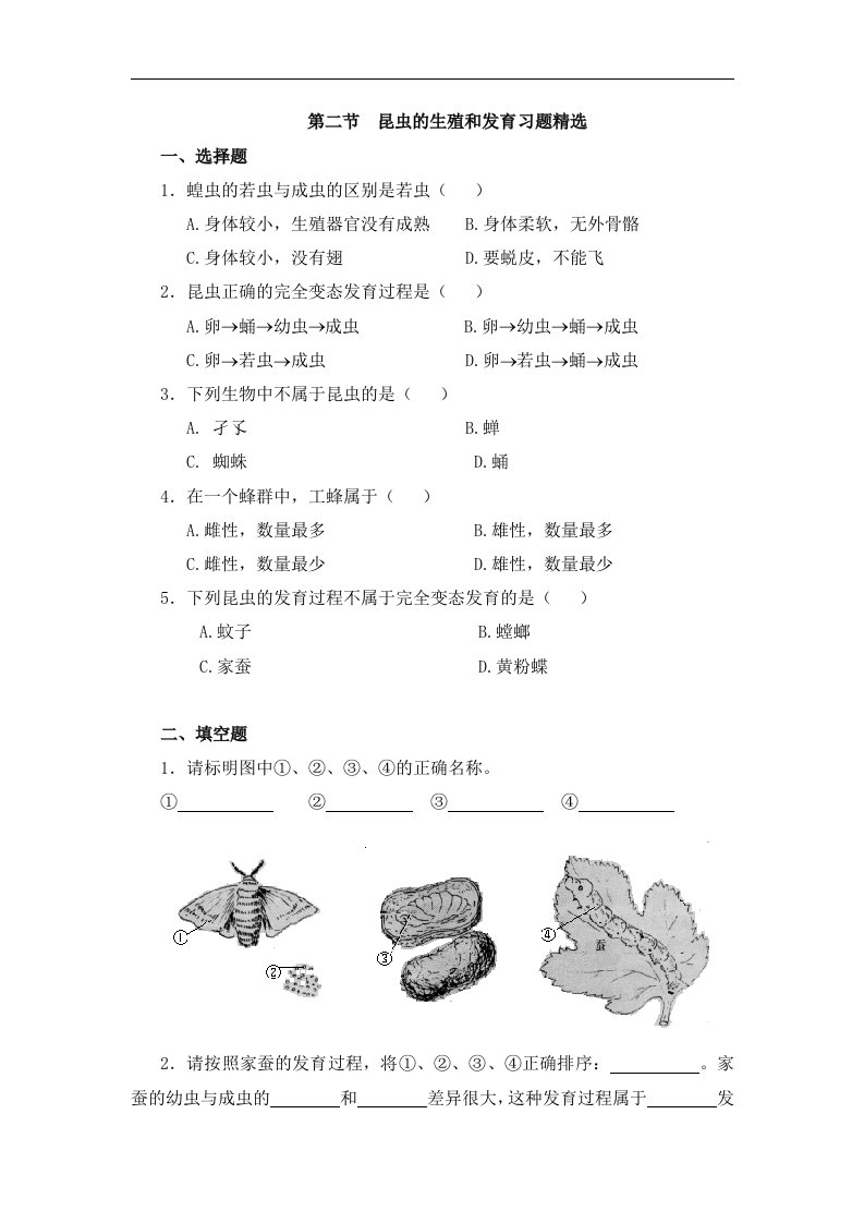 《昆虫的生殖和发育》能力提升