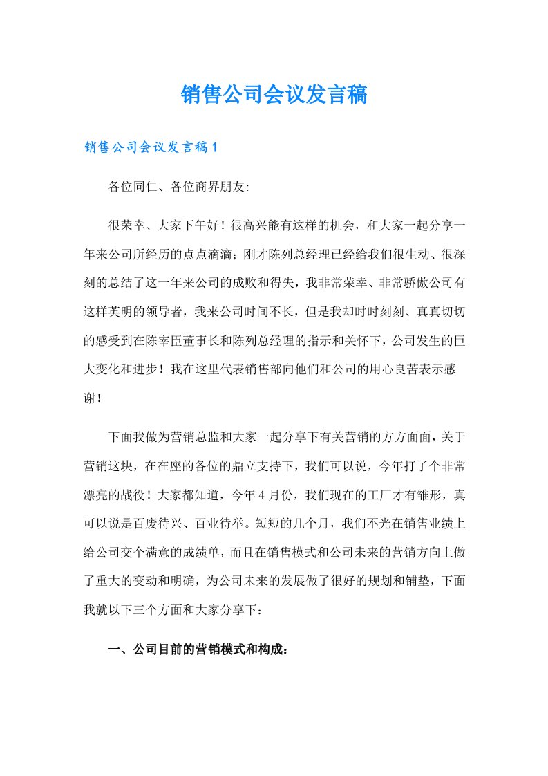 销售公司会议发言稿