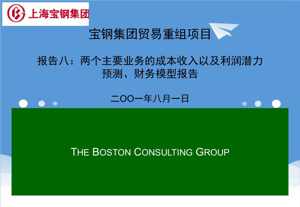 并购重组-波士顿宝钢贸易重组项目全套报告Report08FinancialIm