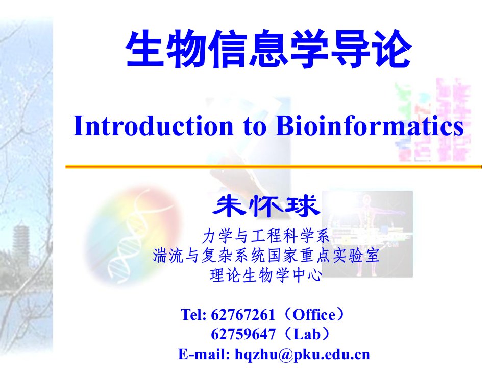 生物信息学导论ppt