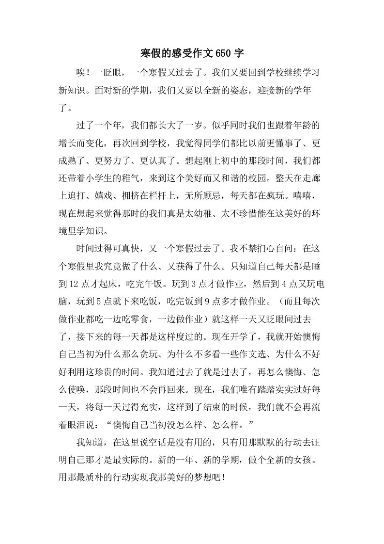 寒假的感受作文650字