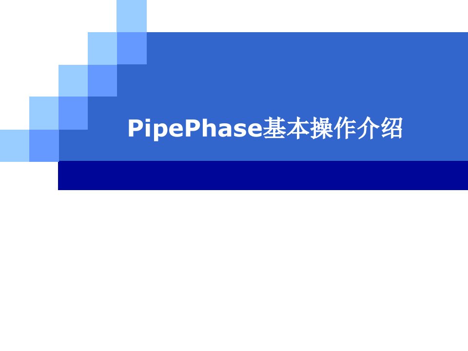 PIPEPHASE安装及基本操作