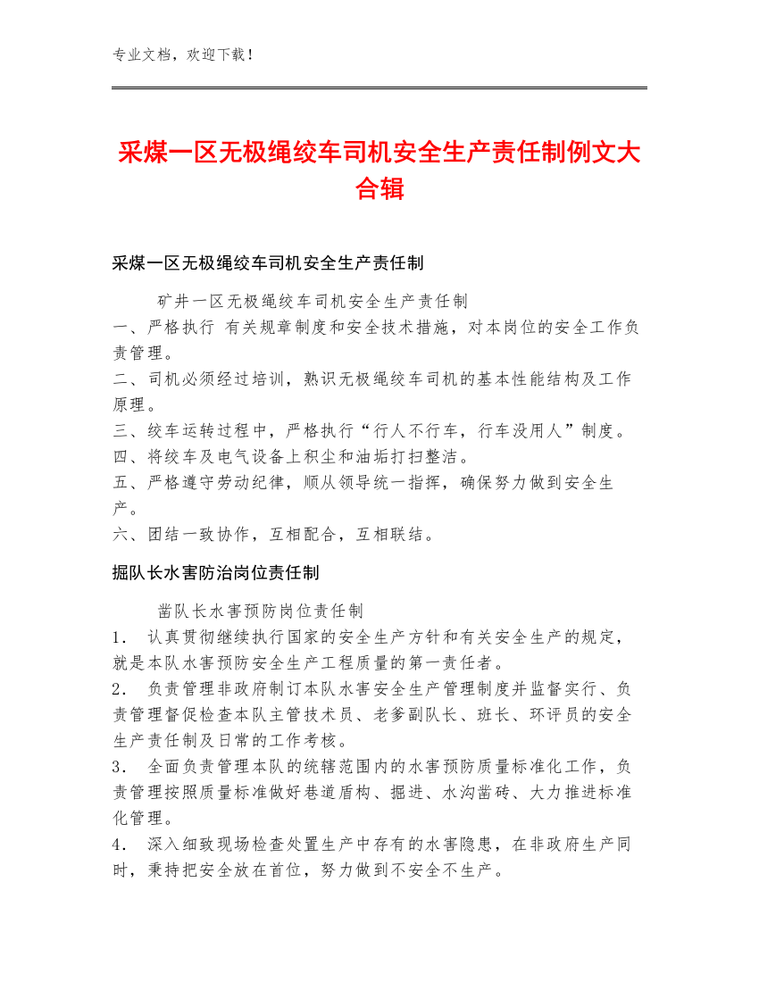 采煤一区无极绳绞车司机安全生产责任制例文大合辑