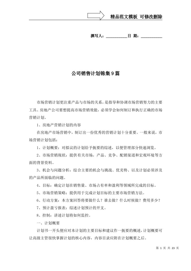 公司销售计划锦集9篇三