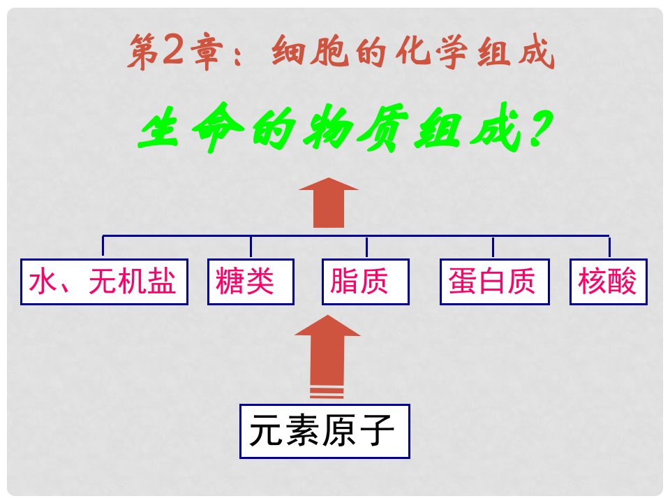 江苏省大丰市南阳中学高一生物《