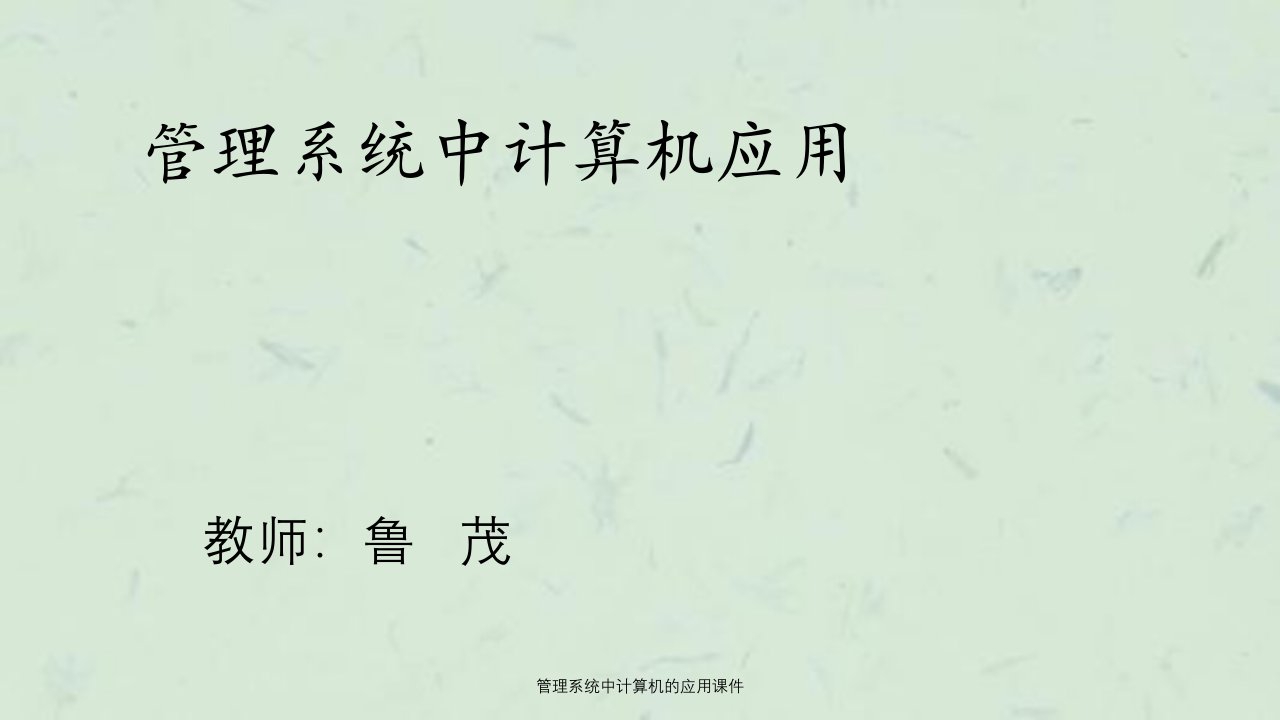 管理系统中计算机的应用课件