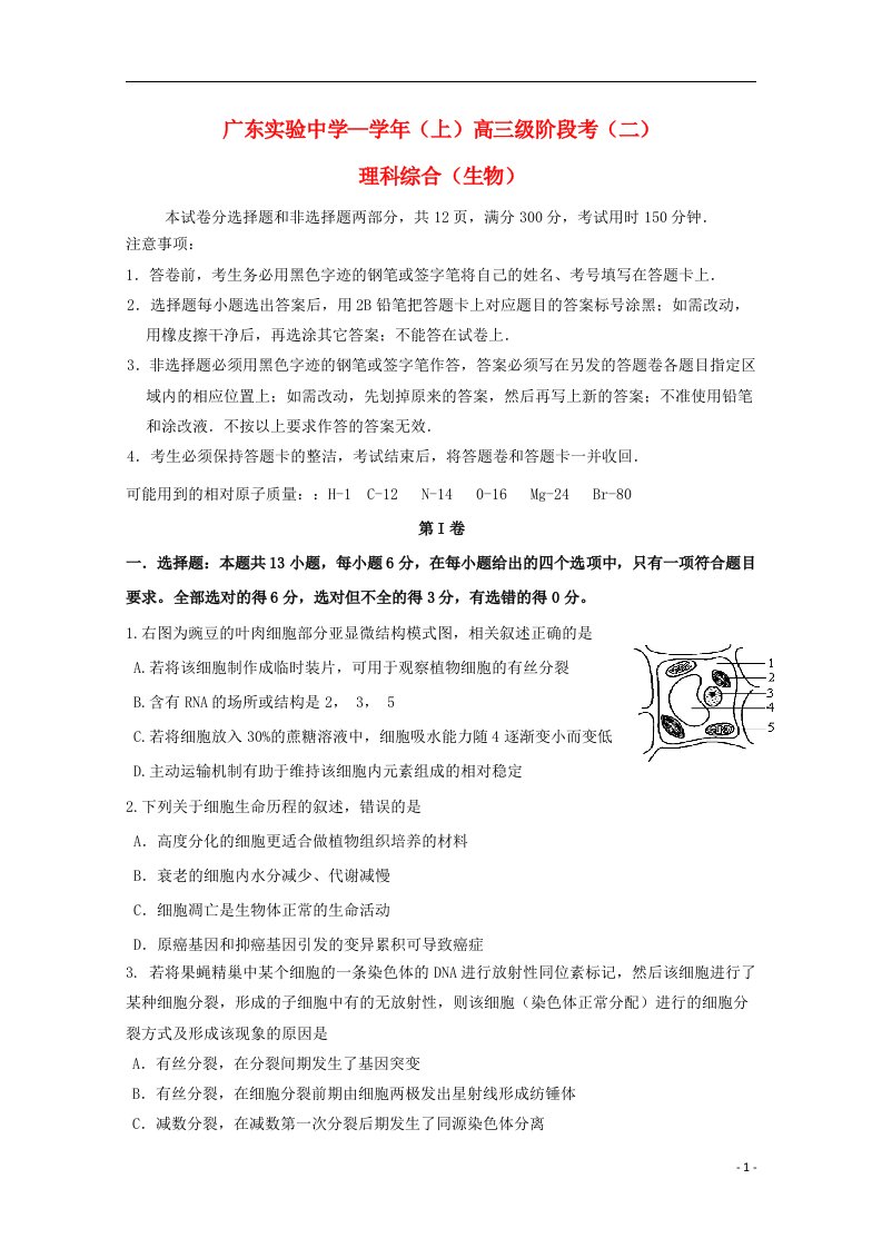 广东省广州实验中学高三生物上学期第二次阶段性考试试题