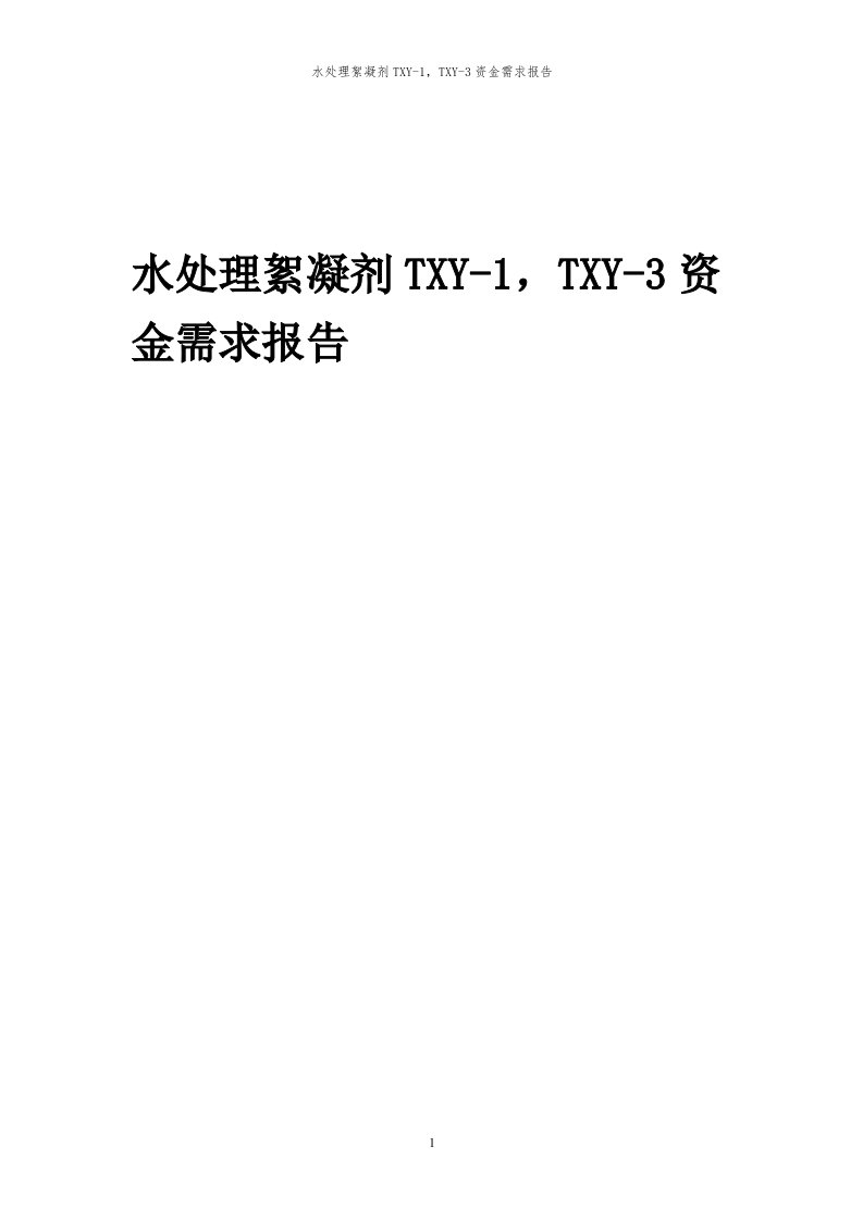 2024年水处理絮凝剂txy-1，txy-3项目资金需求报告代可行性研究报告